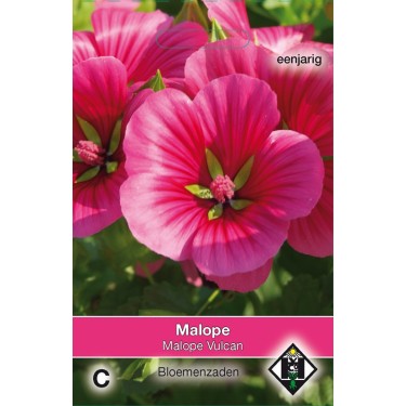 Malope trifida 'Vulcan' -zaden-