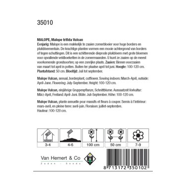 Malope trifida 'Vulcan' -zaden-