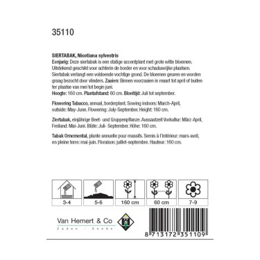 Nicotiana sylvestris -zaden-