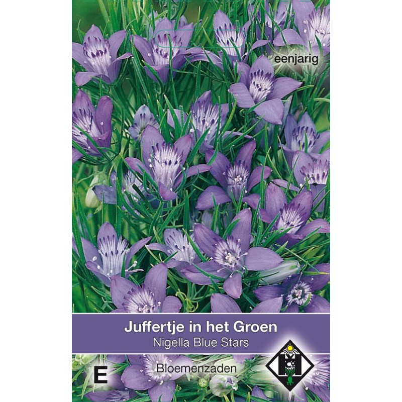Nigella garidella 'Blue Stars' -zaden-