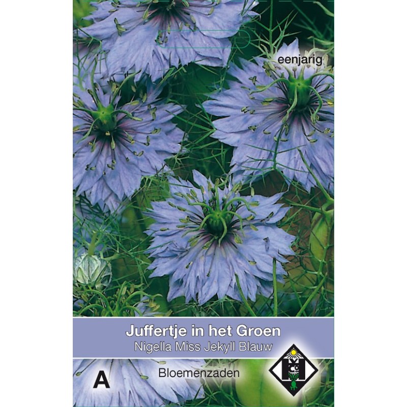 Nigella damascena 'Miss Jekyll Blauw' -zaden-