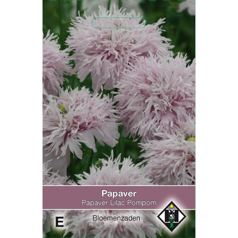 Papaver somniferum 'Lilac Pompom' -zaden-
