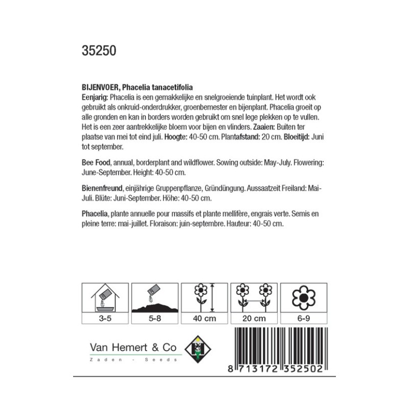 Phacelia tanacetifolia -zaden-