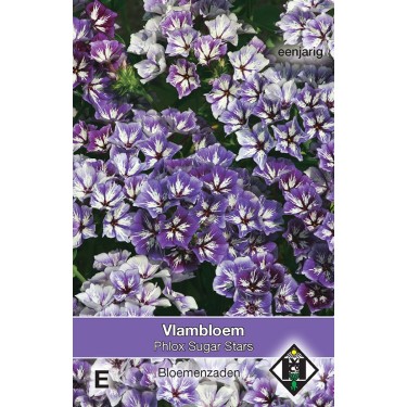 Phlox drummondii 'Sugar Stars' -zaden-