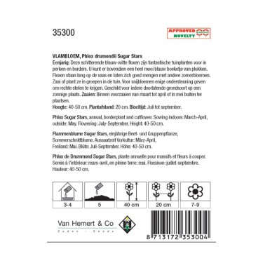 Phlox drummondii 'Sugar Stars' -zaden-