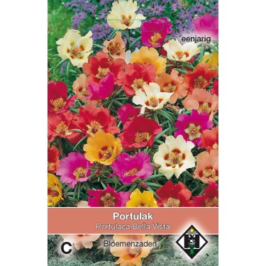 Portulaca grandiflora 'Bella Vista Mix' -zaden-