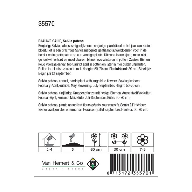 Salvia patens -zaden-