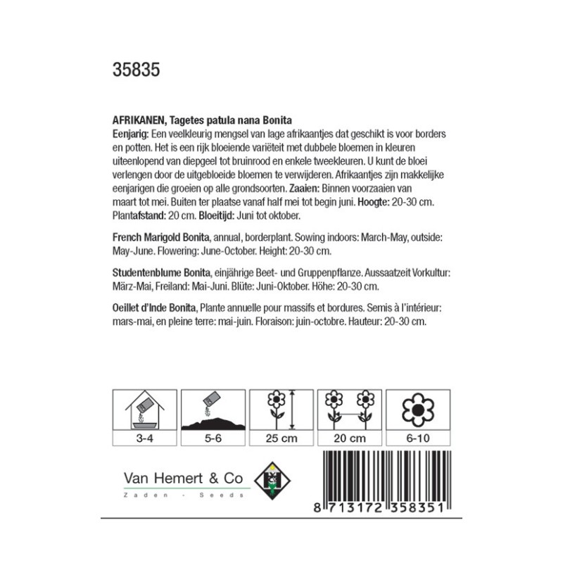 Tagetes patula nana 'Bonita' -zaden-