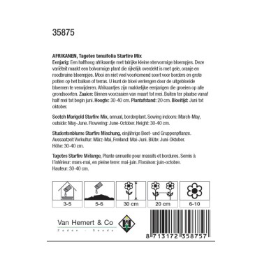 Tagetes tenuifolia 'Starfire Mix' -zaden-