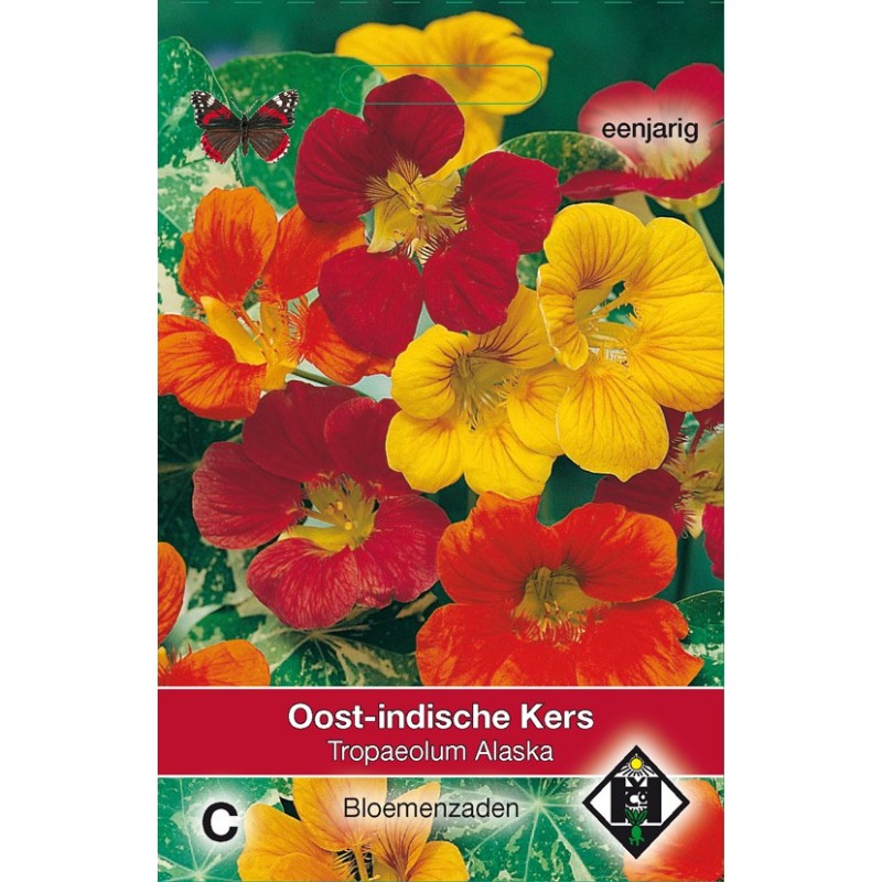 Tropaeolum majus nanum 'Alaska' -zaden-