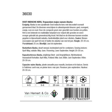 Tropaeolum majus nanum 'Alaska' -zaden-