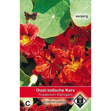 Tropaeolum majus nanum 'Mahogany' -zaden-