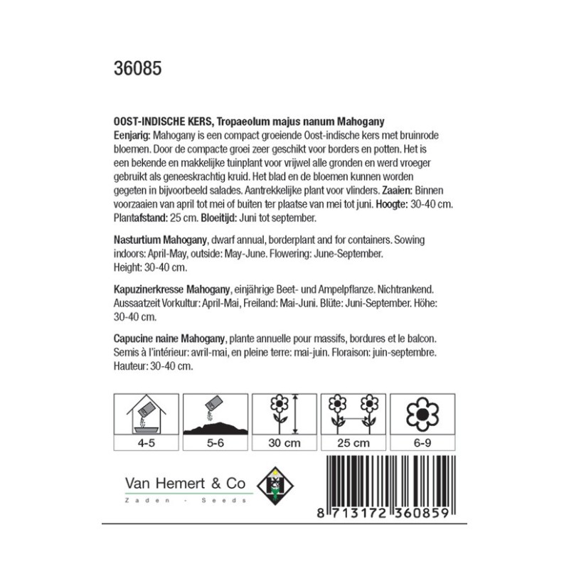 Tropaeolum majus nanum 'Mahogany' -zaden-