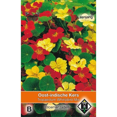 Tropaeolum majus nanum 'Whirlybird Mix' -zaden-
