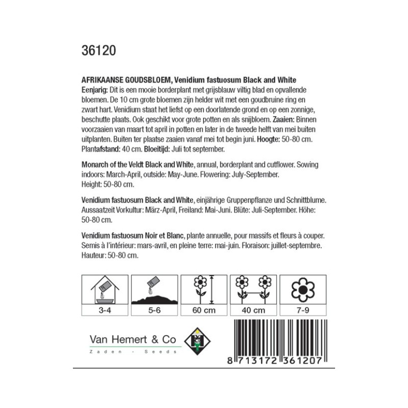 Venidium fastuosum 'Black and White' -zaden-