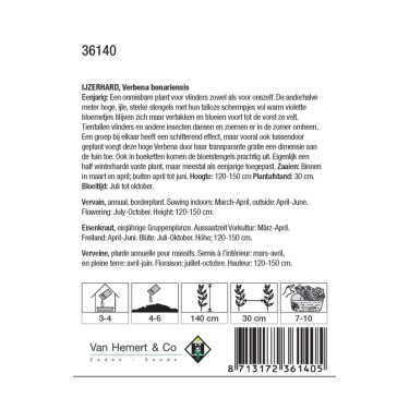 Verbena bonariensis -zaden-
