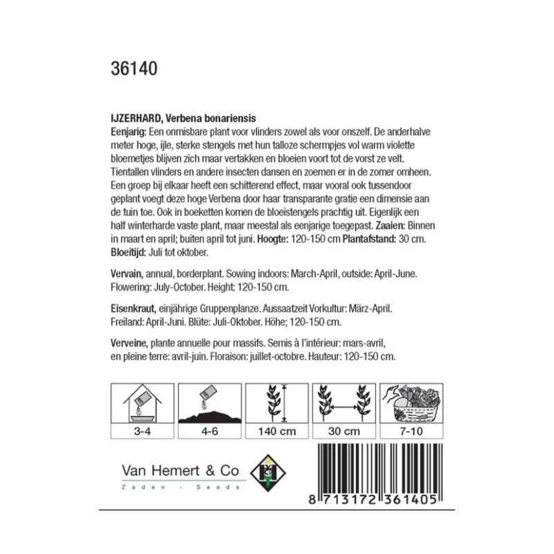 Verbena bonariensis -zaden-