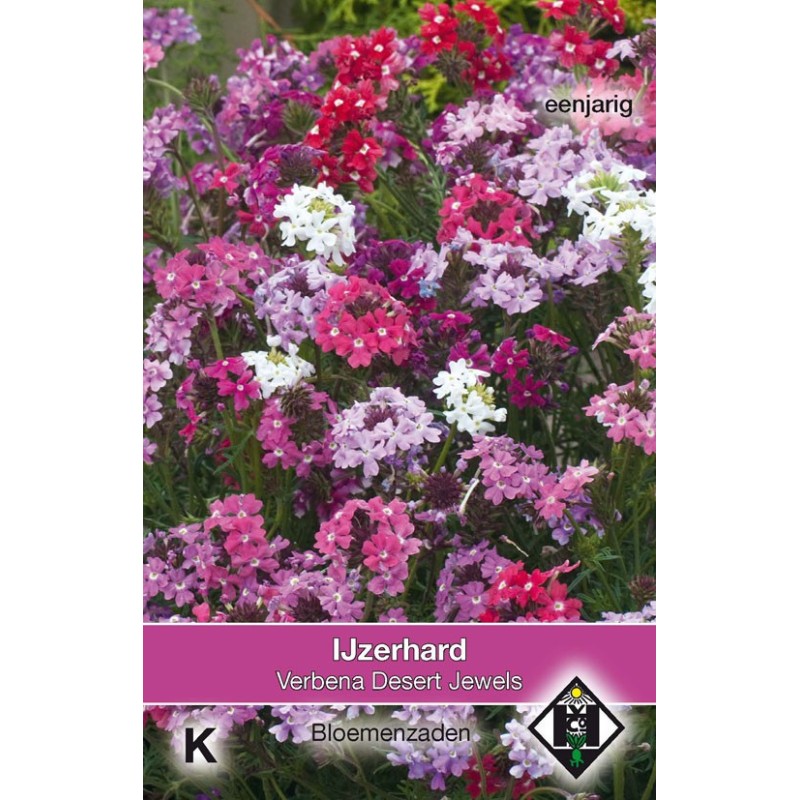 Verbena tenuisecta 'Desert Jewels' -zaden-