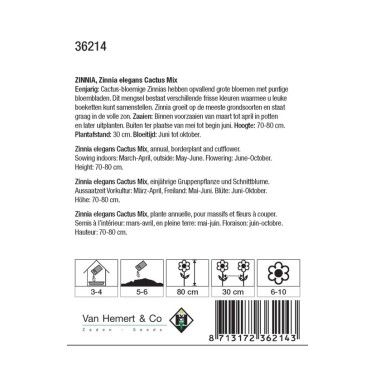 Zinnia elegans Cactus Mix -zaden-