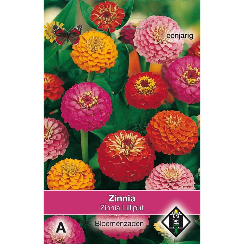 Zinnia elegans 'Lilliput' -zaden-