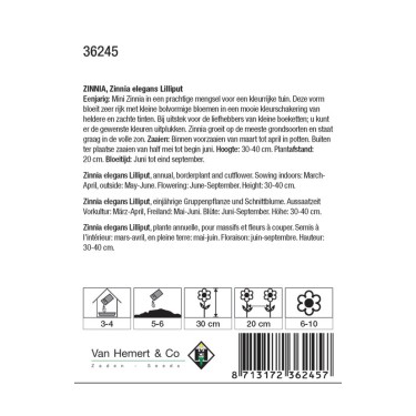 Zinnia elegans 'Lilliput' -zaden-