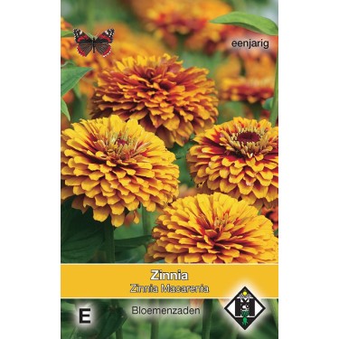Zinnia elegans 'Macarenia' -zaden-