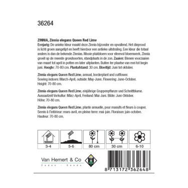 Zinnia elegans Queen Red Lime  -zaden-