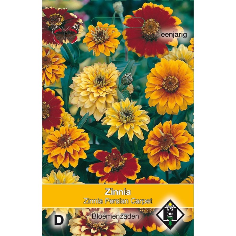 Zinnia angustifolia 'Persian Carpet' -zaden-