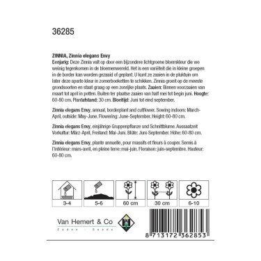 Zinnia elegans 'Envy' -zaden-