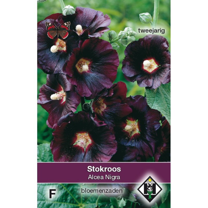 Alcea rosea 'Nigra' -zaden-