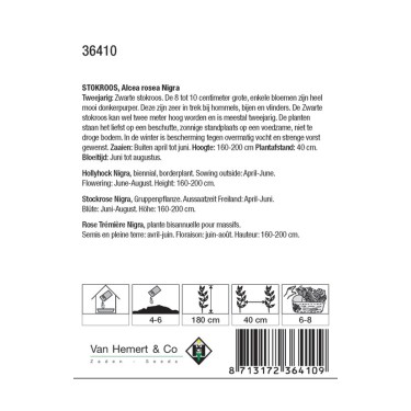 Alcea rosea 'Nigra' -zaden-