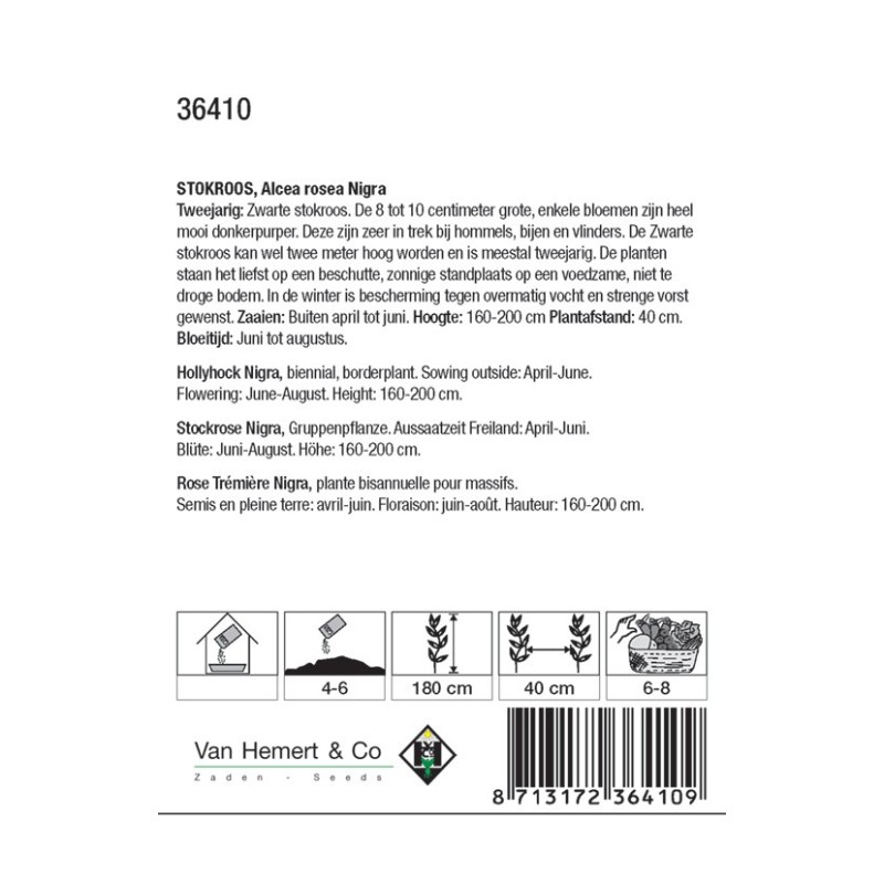 Alcea rosea 'Nigra' -zaden-