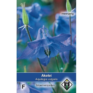 Aquilegia vulgaris -zaden-