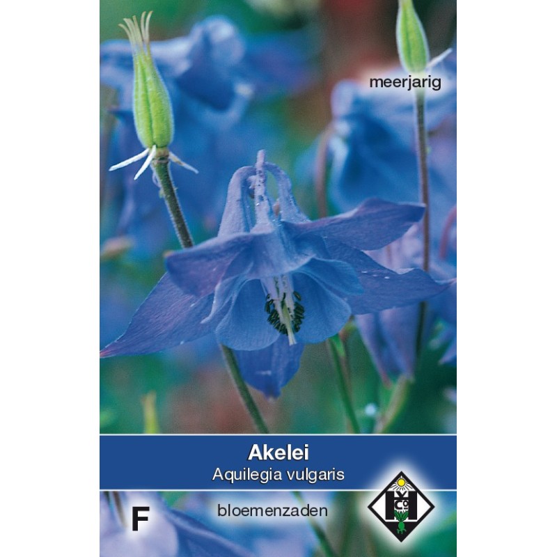 Aquilegia vulgaris -zaden-
