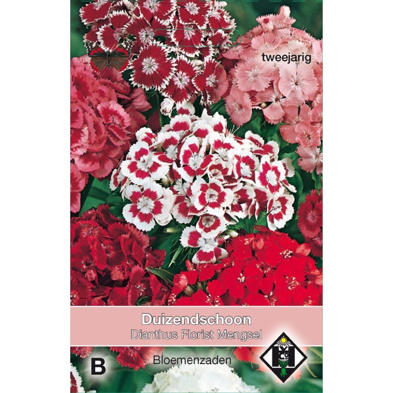 Dianthus barbatus 'Florist Mengsel' -zaden-
