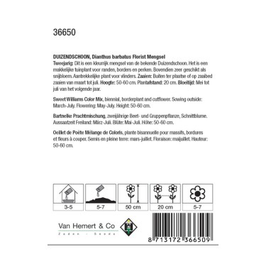 Dianthus barbatus 'Florist Mengsel' -zaden-