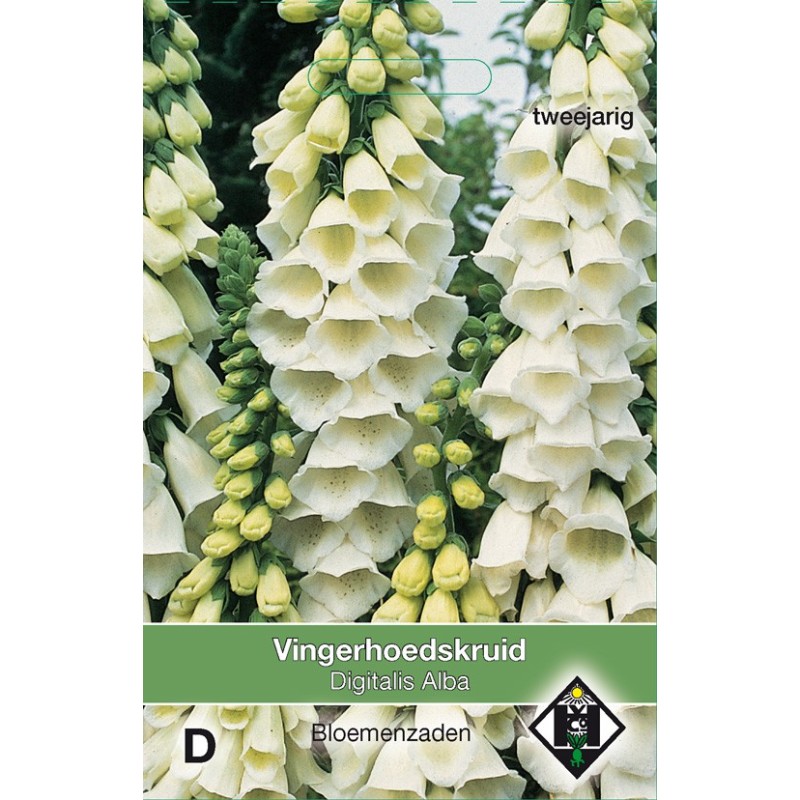 Digitalis purpurea 'Alba' -zaden-