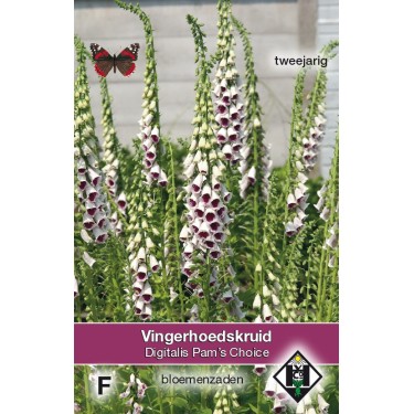Digitalis purpurea 'Pam's Choice' -zaden-