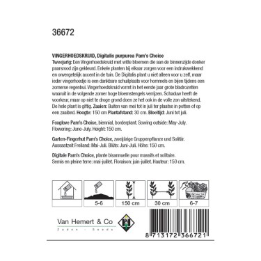 Digitalis purpurea 'Pam's Choice' -zaden-