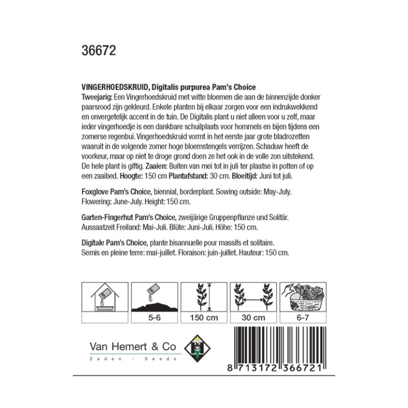 Digitalis purpurea 'Pam's Choice' -zaden-