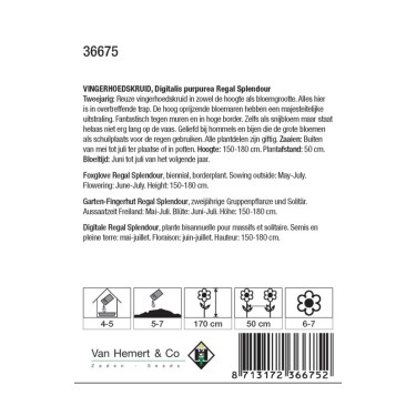 Digitalis purpurea 'Regal Splendour' -zaden-