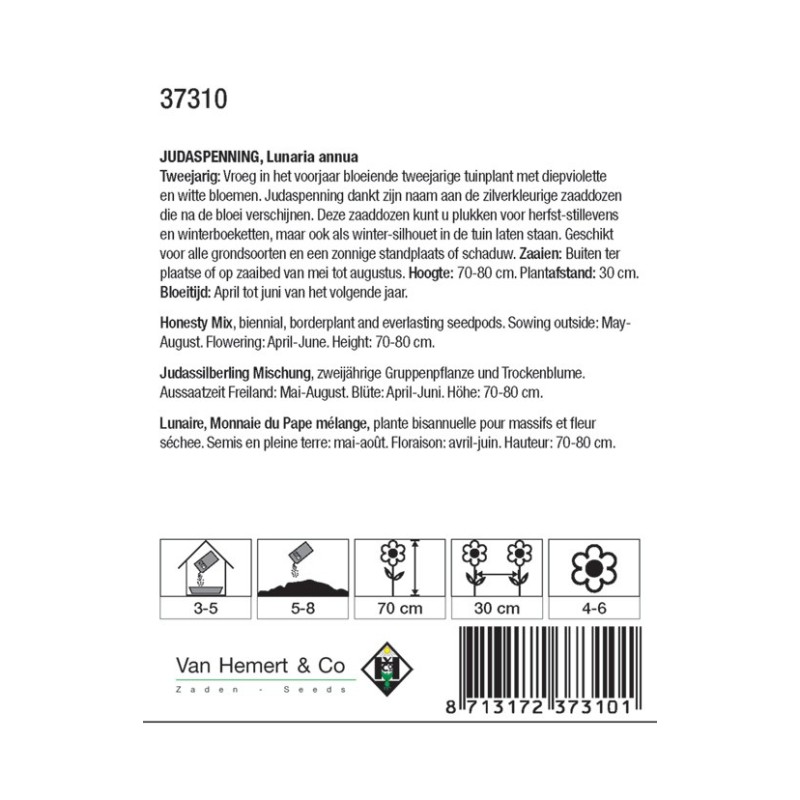 Lunaria annua -zaden-