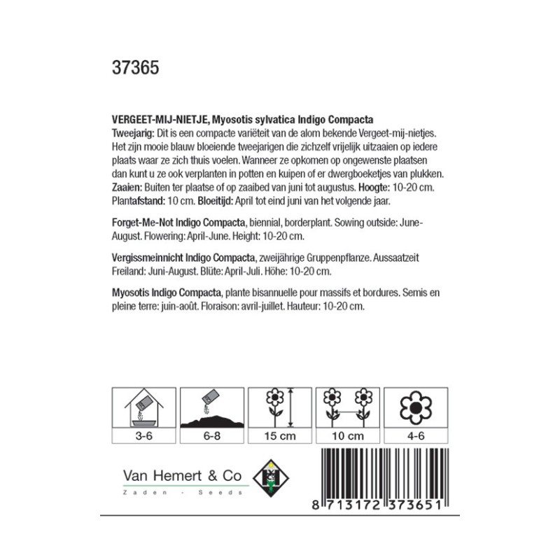 Myosotis sylvatica 'Indigo Compacta' -zaden-