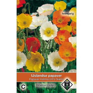 Papaver nudicaule 'Kelmscott's Giants' -zaden-