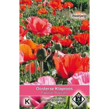 Papaver orientale 'Pizzicato' -zaden-