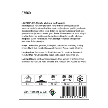 Physalis alkekengi franchetii -zaden-