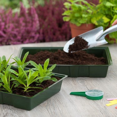 Kweekbak groen 35x23,5cm (5 st.)