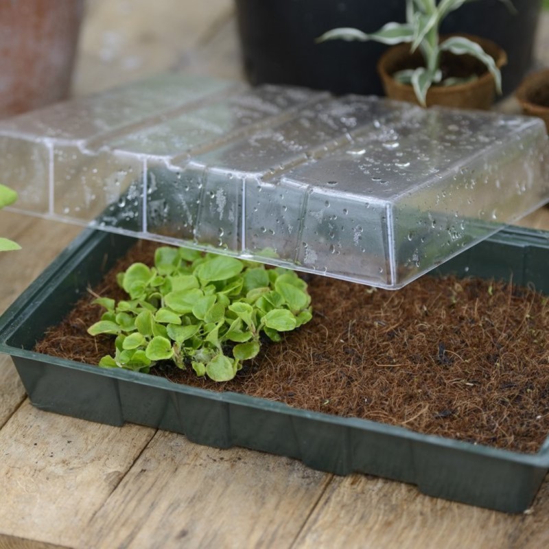 Mini-kweekkas - met kokosmat - H11 x 35 x 23,5 cm