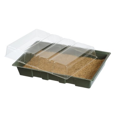 Mini-kweekkas - met kokosmat - H11 x 35 x 23,5 cm