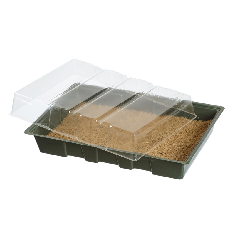 Mini-kweekkas - met kokosmat - H11 x 35 x 23,5 cm